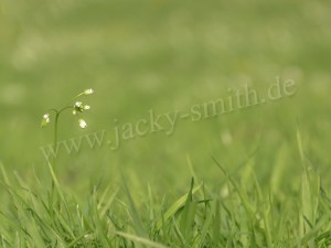 img_486