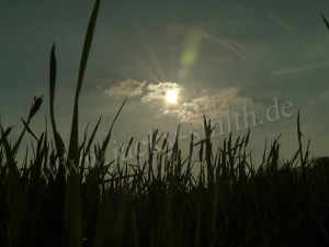 img_496